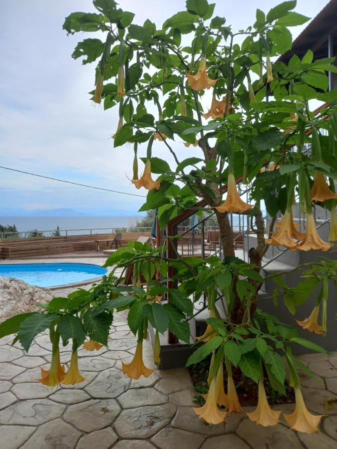 Seven Keys Luxury Suites Achilleion Luaran gambar
